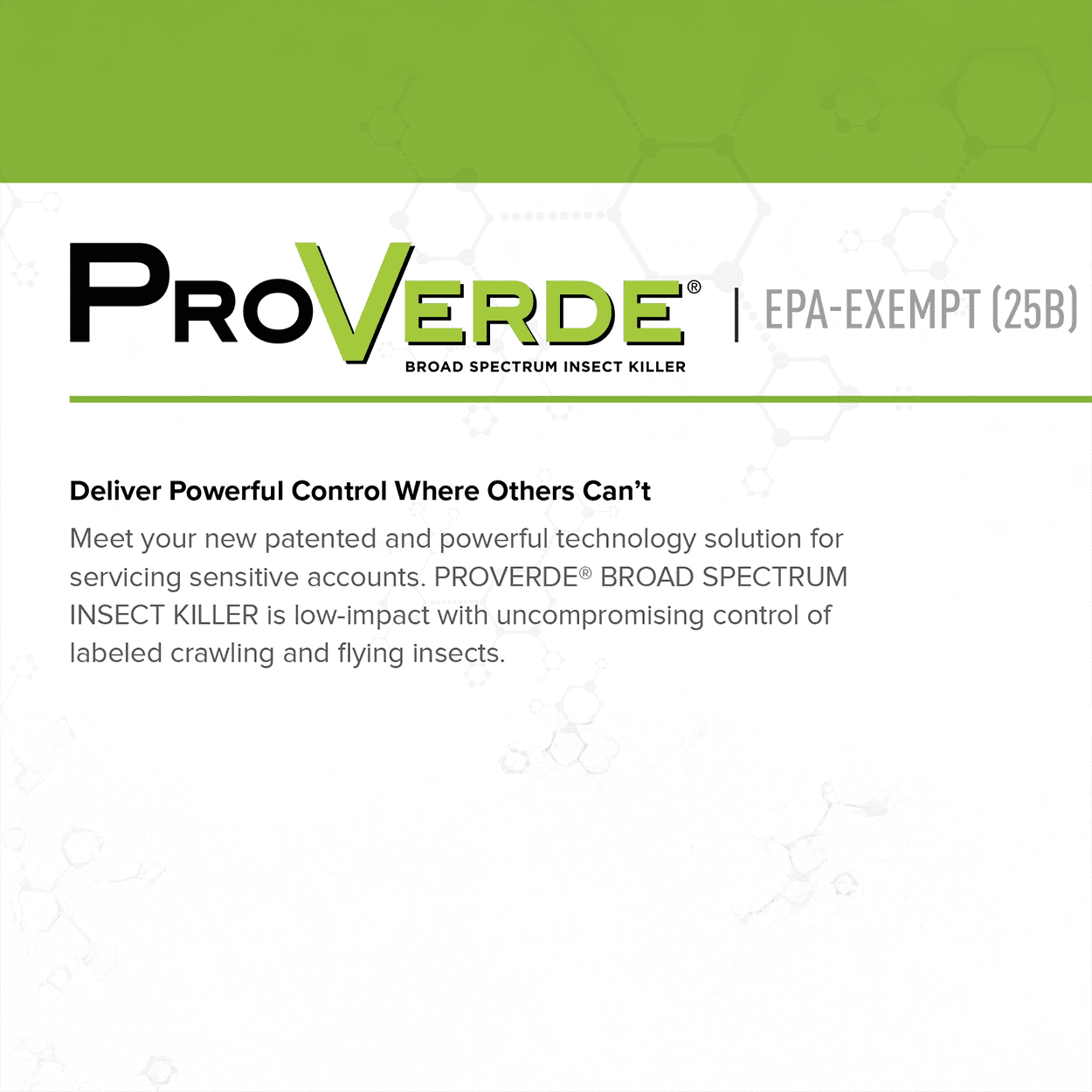 ProVerde Broad Spectrum Insect Killer - 14 oz Aerosol Can by AMGUARD