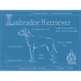 thumbnail image 3 of Harper, Ethan 18x15 Black Modern Framed Museum Art Print Titled - Blueprint Labrador Retriever, 3 of 5