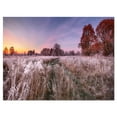 thumbnail image 2 of Frosty Fall Trees with Red Leaves - Landscape Print Wall Artwork, 2 of 3