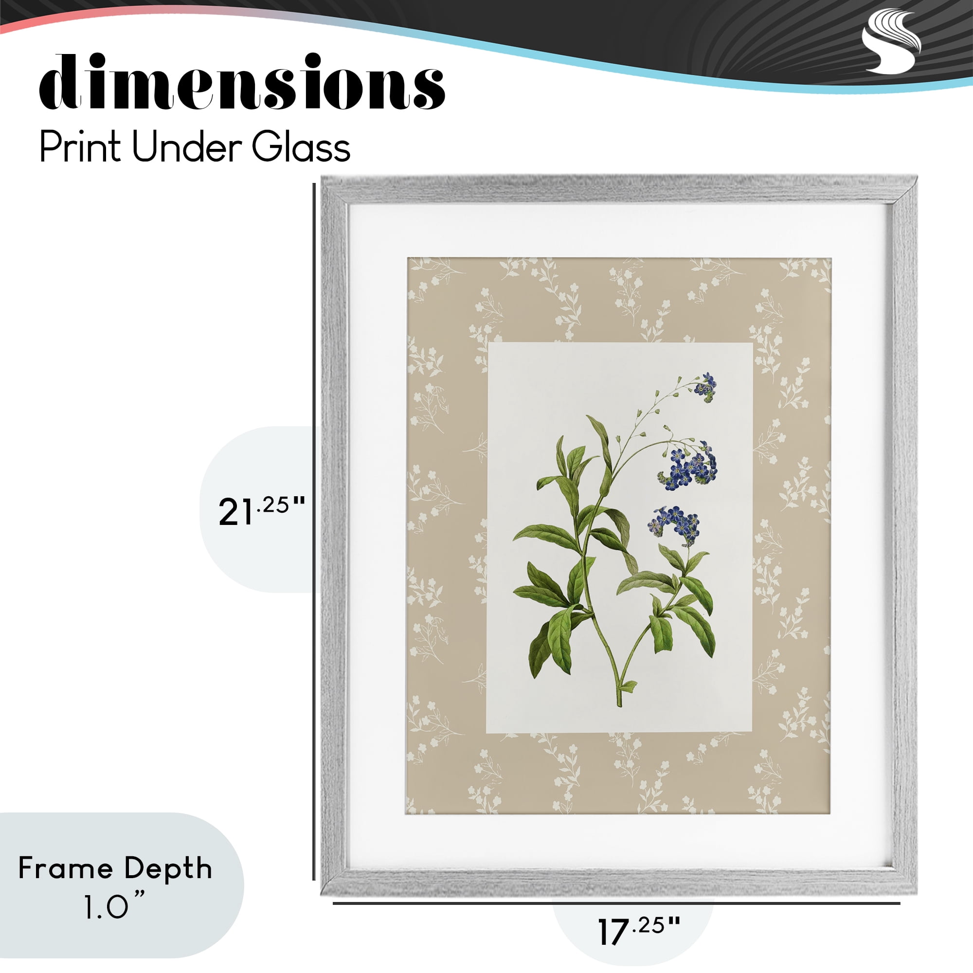 Stupell Industries Botanical Plate Design Gray Framed Print Under Glass, design by Val Rhodes