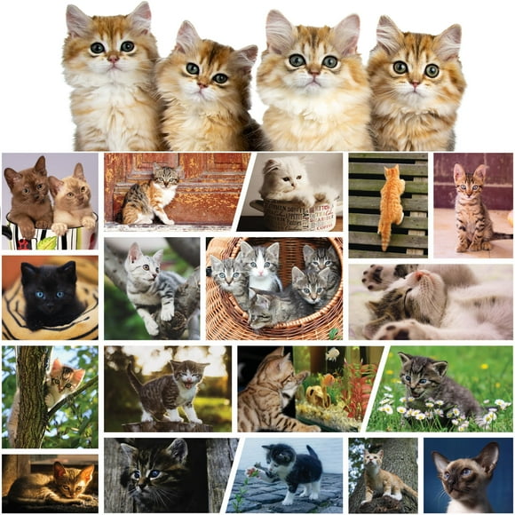 Better Me Cute Kittens Jigsaw Puzzle 500 Piece Cute Cat Lover Collage Kitty Cat Family Puzzle with Black Cat Tabbies Siamese & More - 500 Piece Puzzles for Adults & Cat Puzzles for Kids & Family