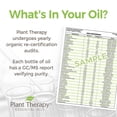 thumbnail image 2 of Plant Therapy Aromatherapy 100mL Essential Oil, 3.3 Oz, Lavandin (2 Pack), 2 of 8