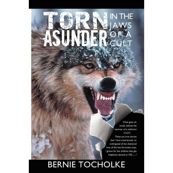 Torn Asunder (Paperback)
