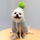 thumbnail image 1 of Ropa cálida de invierno para perro, abrigo de felpa bonito, sudaderas con capucha, chaqueta para disfraz de Mascota para cachorro, gato, Bulldog Francés, Chihuahua, perro, ropa de Navidad, 1 of 4