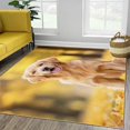 thumbnail image 4 of Brown 3D Printed Area Rug Animal Golden Retriever Non-Slip Low Pile Carpet for Living Room Bedroom, Kids Room and Home Decor, Durable Machine Washable Breathable Indoor Floor Mat 8 X 10 Ft, 4 of 7