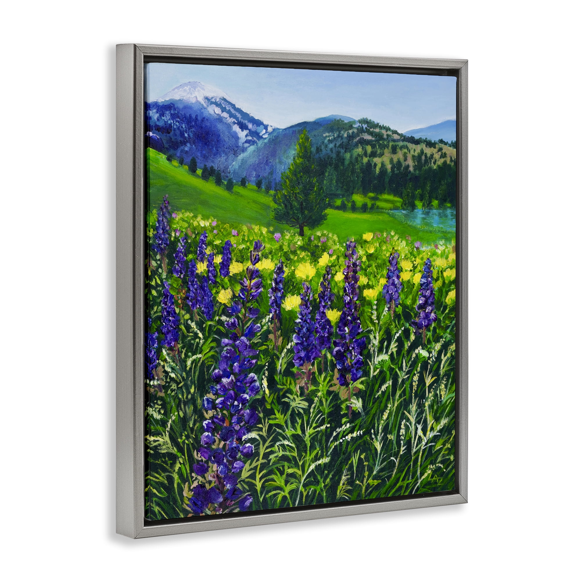 Stupell Industries Flower Speckled Valley Gray Framed Floater Canvas Wall Art, design by Lee Ann Zirbes