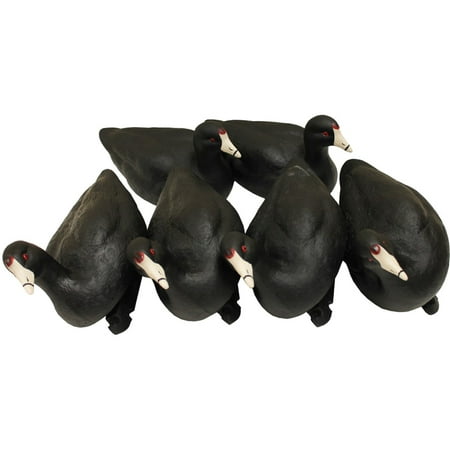 Mojo Outdoors Coot Confidence Duck Decoys - 6 Pack