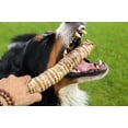 thumbnail image 3 of Beef Trachea 12 Dog Treats, 10 Count, 3 of 5