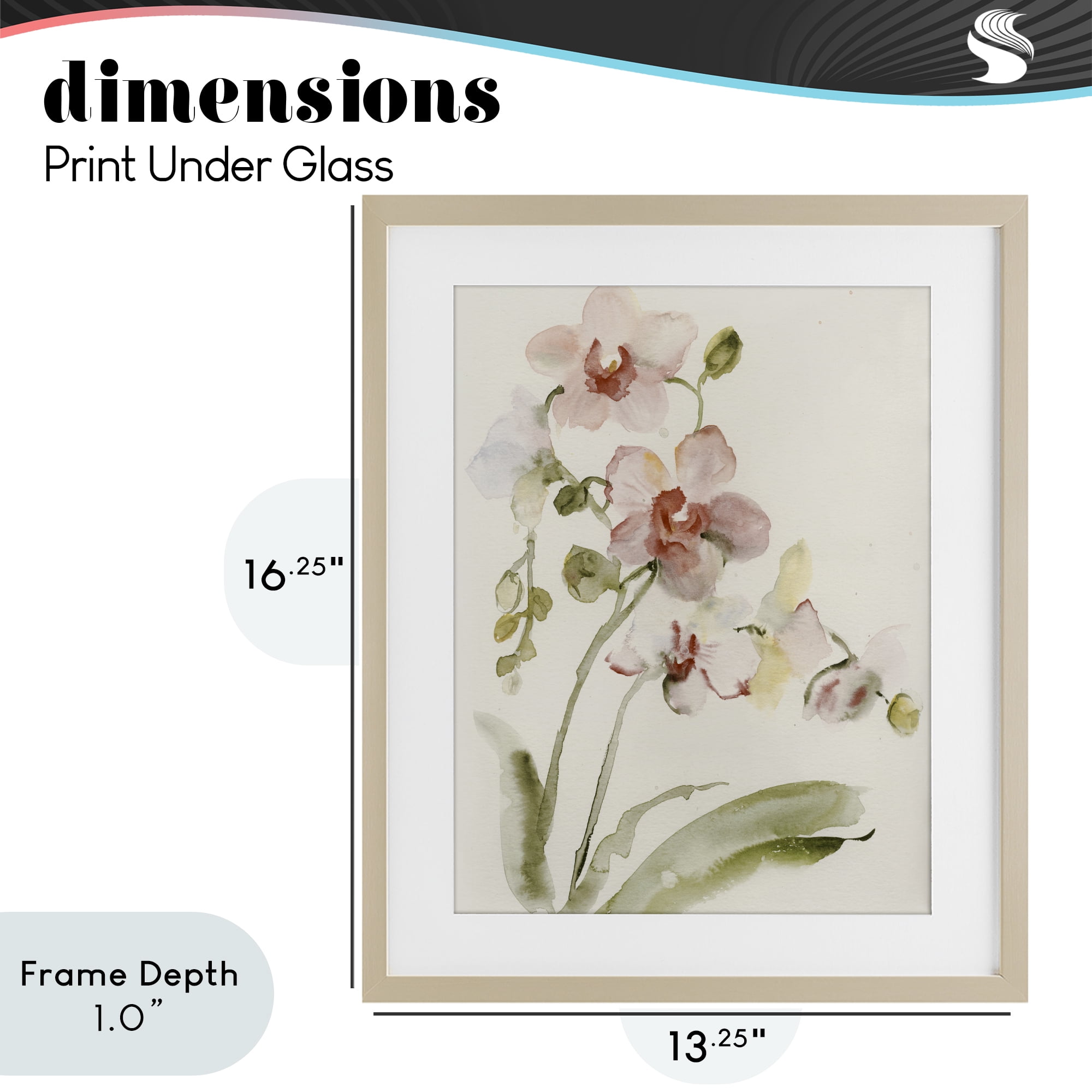 Stupell Industries Gentle Pink Orchid in Bloom Birch Framed Print Under Glass, design by Victoria Barnes