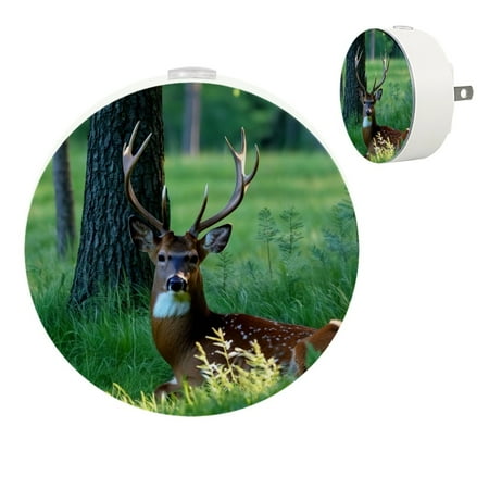 

YZUOUZY Lamp for Bedroom Lamps for Bedroom Bedside Lamps Set of 2 Whitetail Deer Tree Woods