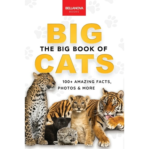 Animal Books for Kids The Big Book of Big Cats: Big Cat Facts: 100  Amazing Facts About Lions, Tigers, Leopards, Snow Leopards & Jaguars, Book 30, (Paperback)