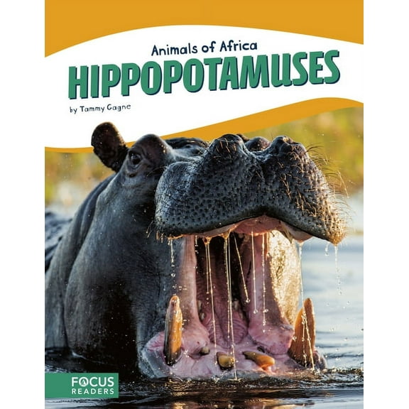 Hippopotamuses (Paperback)