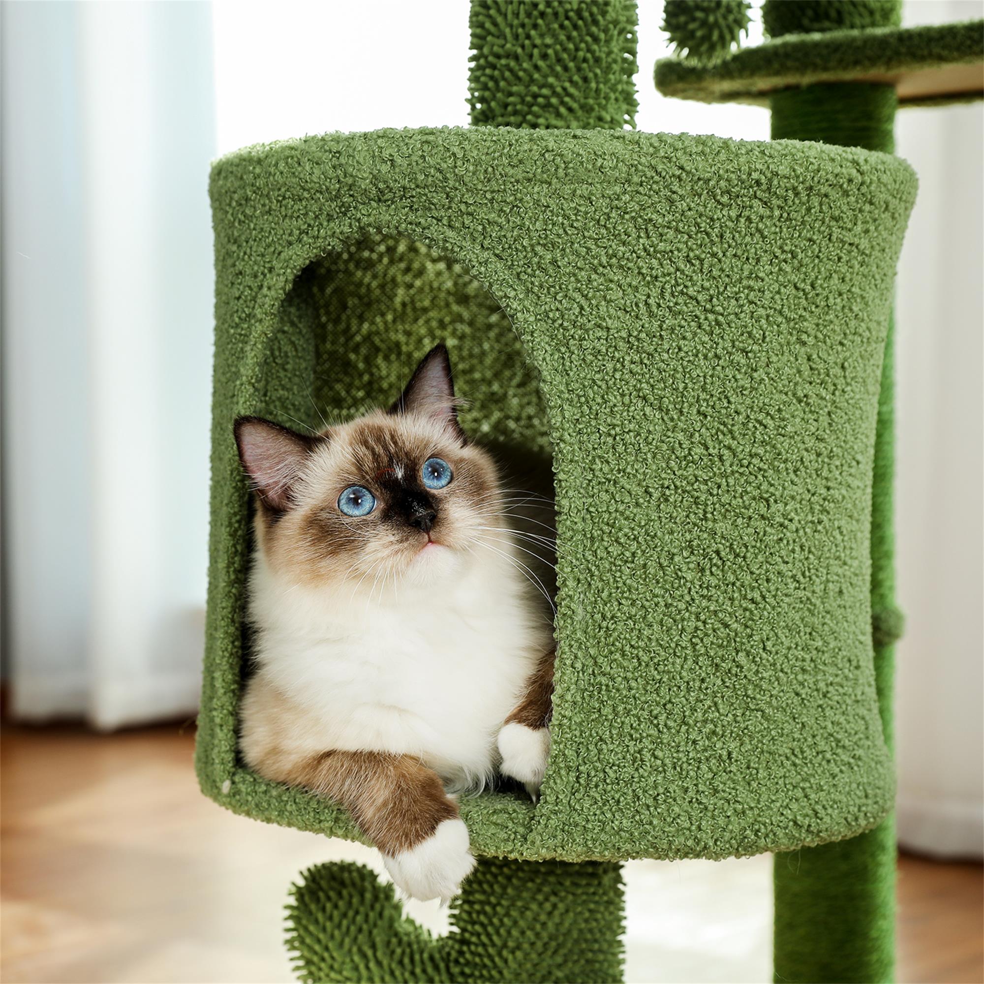 Kadyn 35" Cactus Cat Tree Tower for Indoor Cats, Cat Climbing Stand with Climbing Ladder for Multi-Level Cat Condo, Green