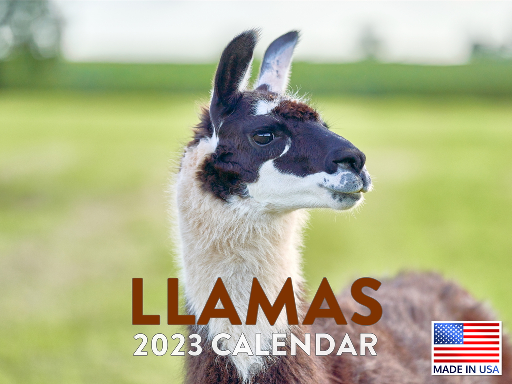 Llama Calendar 2023 Monthly Wall Hanging Calendars Cute Funny Animal