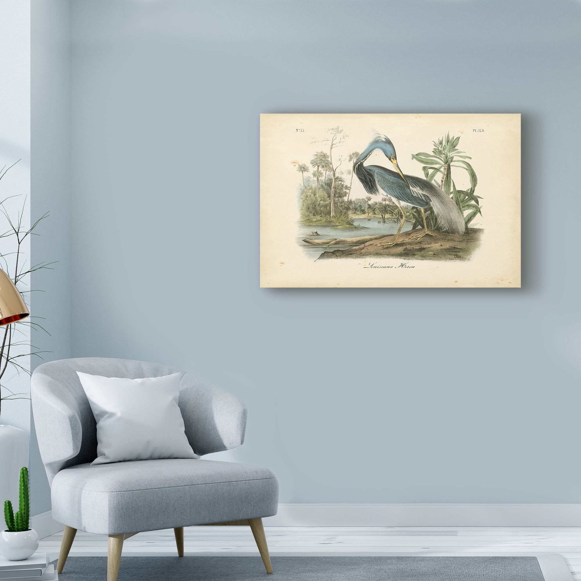 Trademark Fine Art 'Audubons Louisiana Heron' Canvas Art by John James Audubon