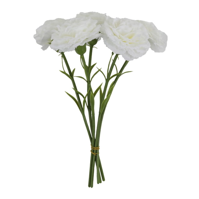 Simulación Diurna. Clavel. Decoración Para El Hogar. Jarrón. Arreglo Floral.
