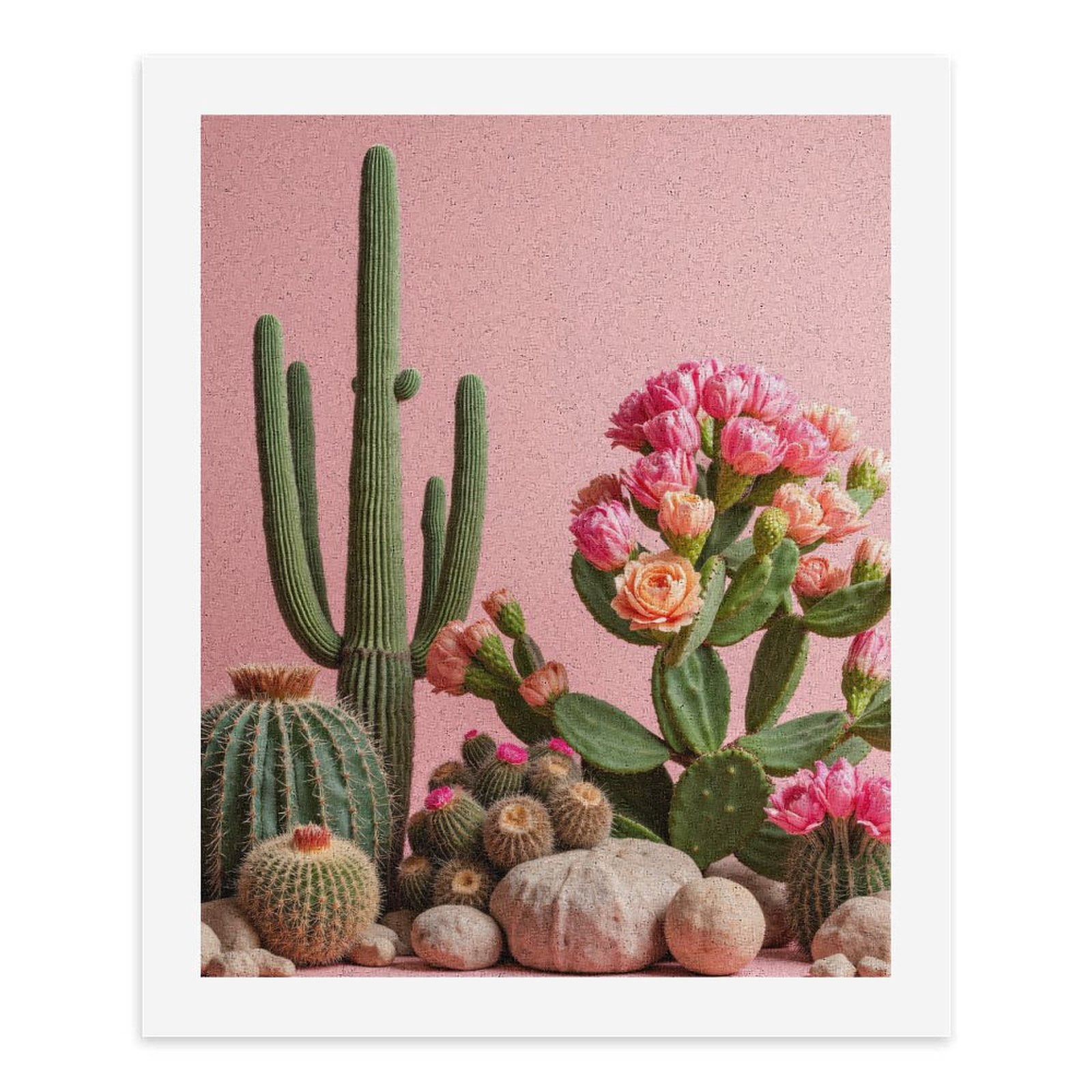 Paint by Numbers Kit for Adults, Pink Cactus Blossoms Desert Rocks Paint by Numbers, Easy Paint by Numbers Kit for Adults Beginner, DIY Adult Paint by Number Kits on Canvas, Home Decor