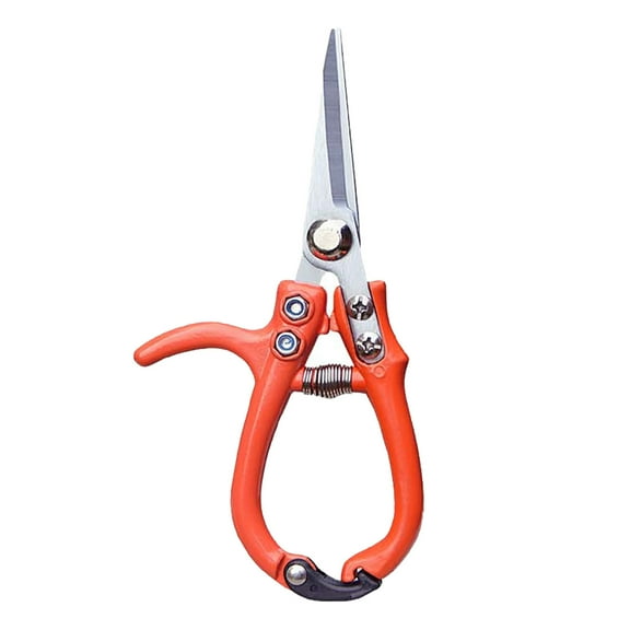 Modern Sprout Pruning Shears - Herb Snipping Scissors- Lightweight Gardening Tools Lock - Flower Cutter Garden Shears - Carbon Steel Blade   Reusable Holster (Orange, 1-Pack)