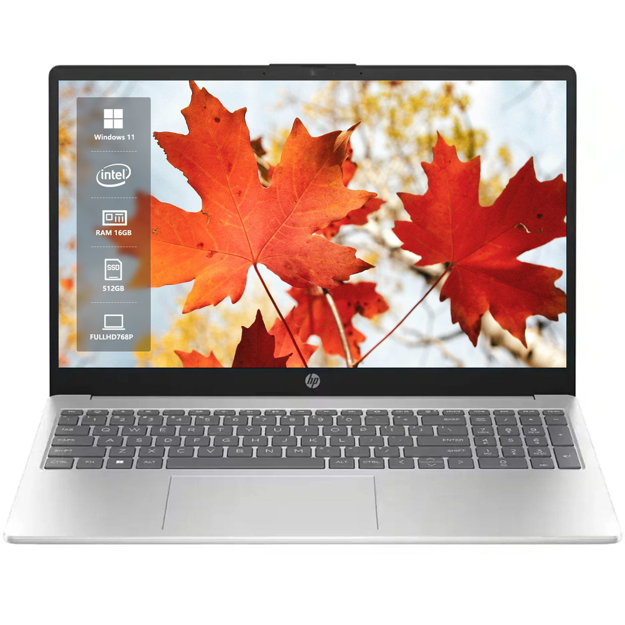 HP 15.6