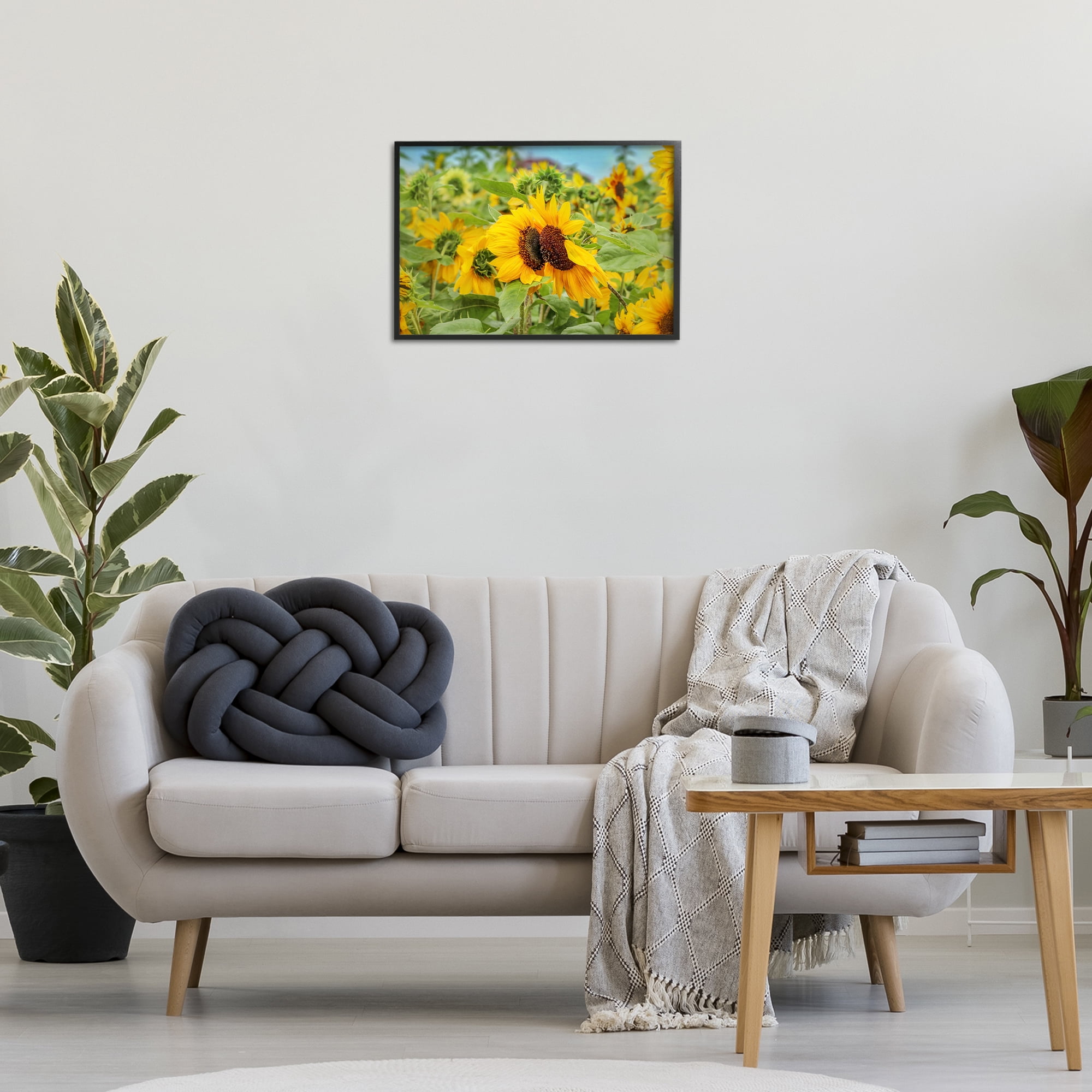 Stupell Industries Sunflower Field Photography Landscape Photography Black Framed Art Print Wall Art, 24 x 16