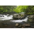 thumbnail image 2 of Jones, Adam 24x17 Black Ornate Wood Framed with Double Matting Museum Art Print Titled - Cascading mountain stream-Great Smoky Mountains National Park-Tennessee-North Carolina, 2 of 4