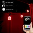 thumbnail image 4 of Energizer Smart Patio Lights, Sound Reactive RGBW+IC Outdoor String Lights w/ LED Light Bulbs, 24 ft, 4 of 7