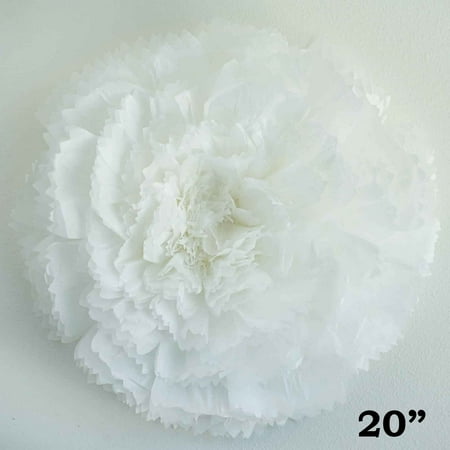 - BalsaCircle 20-Inch wide Paper Large Carnation Flower - Wall Backdrop Party Wedding Party Decorations