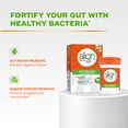 thumbnail image 5 of Align Probiotics Gut Health + Immune Support, Probiotic for Women and Men, 28 Capsules, 5 of 10