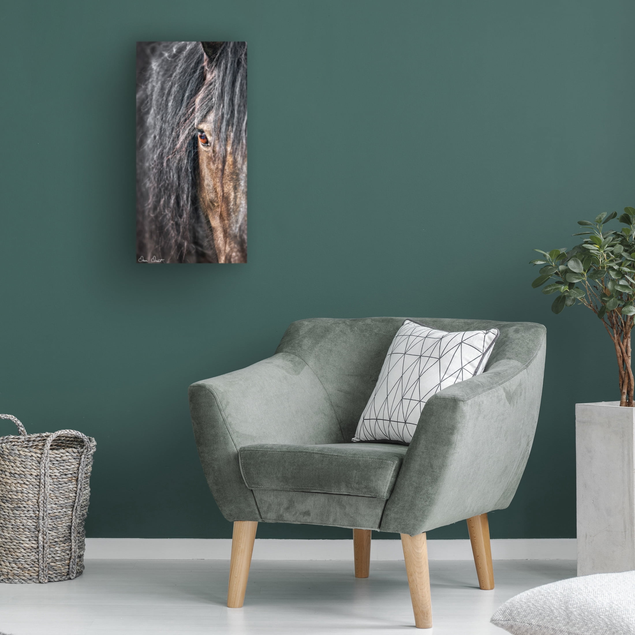 Trademark Fine Art David Drost Grey Horse Mane Canvas Wall Art