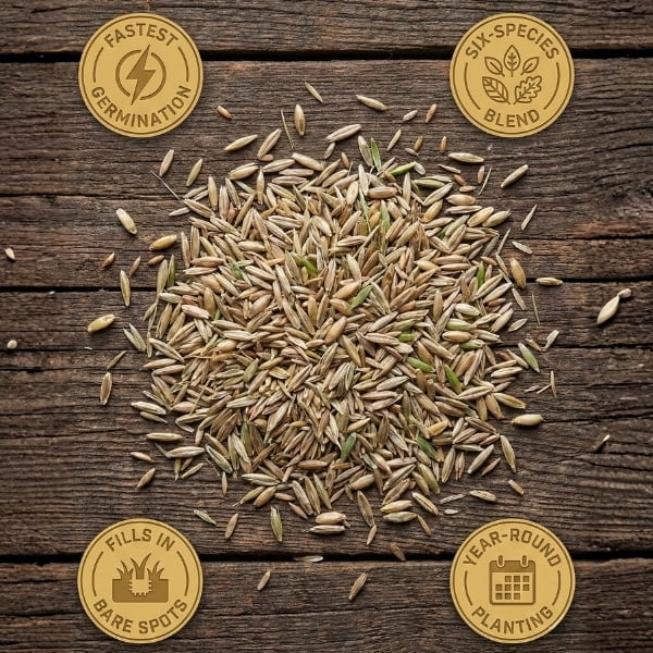 Old Cobblers Farm™ Wicked Tuff Turf Speedy Lawn Seed (5 lbs | 10 lbs | 15 lbs | 20 lbs) (15lbs)