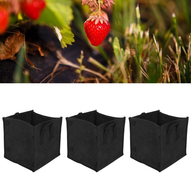 Growth Bag, 3Pcs Planting Bag For Small Garden For Terrace For Sun Room For Balcony