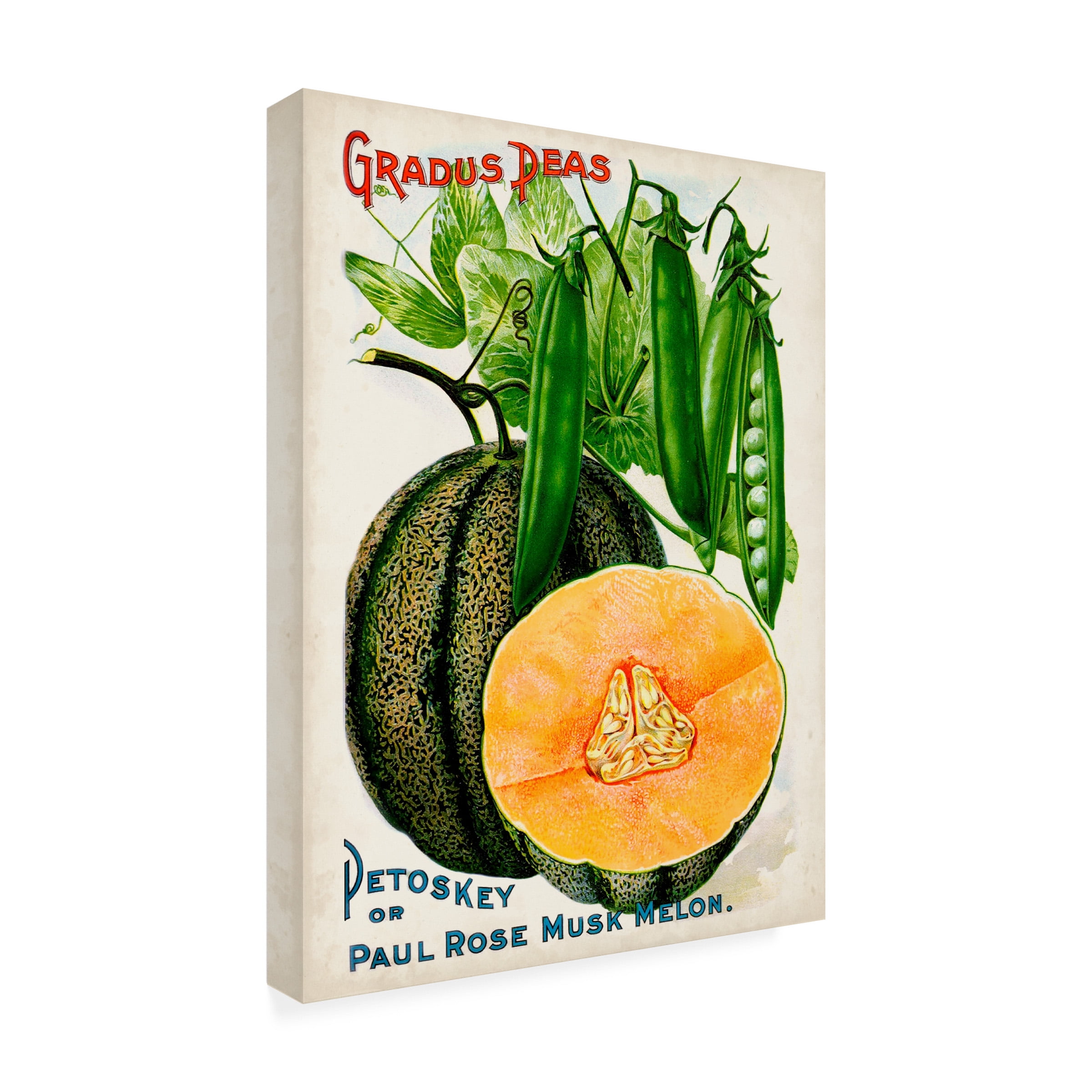 Unknown 'Antique Seed Packets X' Canvas Art