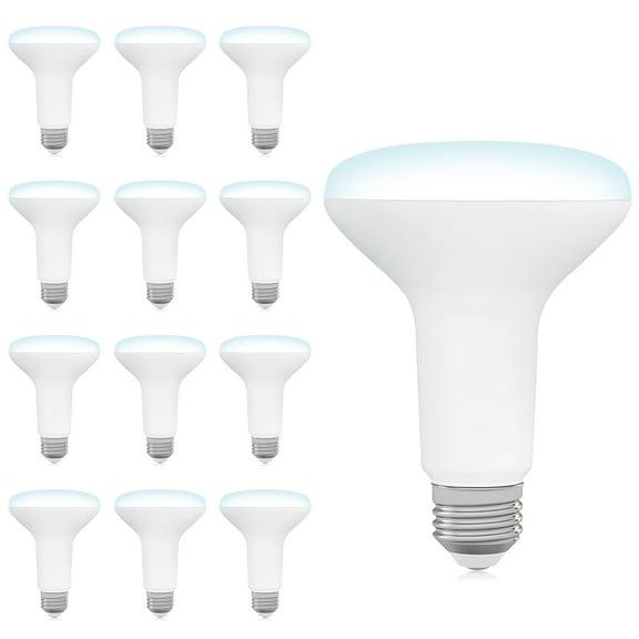 DEGNJU BR30 LED Light Bulbs, 65W Equivalent 7W, Dimmable Flood Lights, E26 Base, 5000K Daylight, 650LM, Recessed Can Bulbs for Kitchen Bedroom Home, 12-Pack