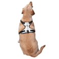 thumbnail image 3 of Gaeub Doodle Cute Cat Gaeub Doodle Cute Cat No Pull Dog Harness, Secure and Adjustable Pet Vest for Outdoor Activities - Large, 3 of 8