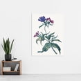 thumbnail image 2 of Saftleven Study Red Catchfly Flower Painting Extra Large XL Wall Art Poster Print, 2 of 3
