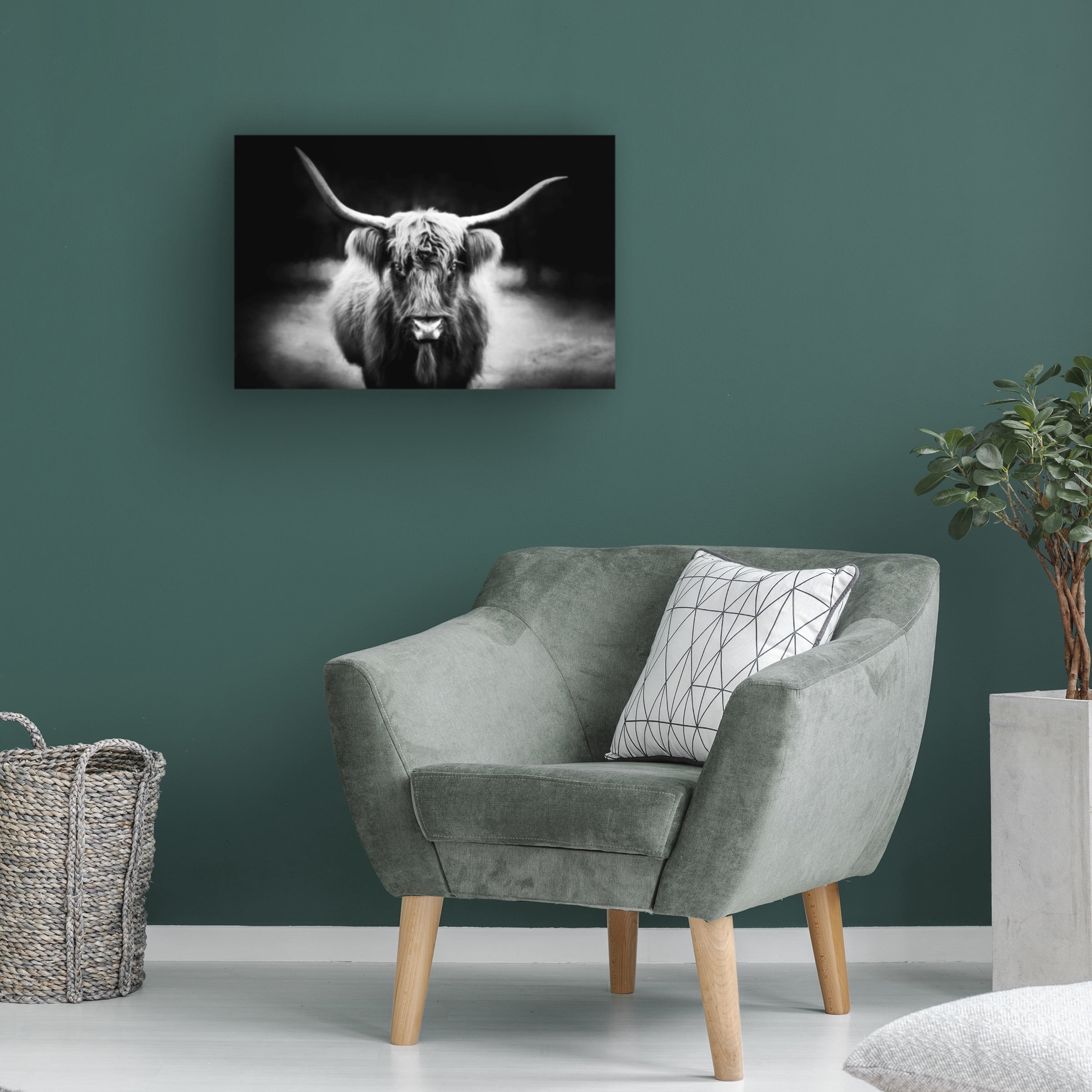 PHBurchett 'Photography Study Highland Cattle' Canvas Art