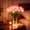 Pink, variant on Radiant Romantic Tulip Light, 15PCS LED Tulip Flower Lamp with Warm Twinkling Glow, Artificial Tulip Tree Light for Home Decor, Dining Table, Bedroom, Wedding Centerpiece, Ambient Night Light Gift