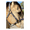 Cattle Drive, variant on Patterned Nylon Horse Halter