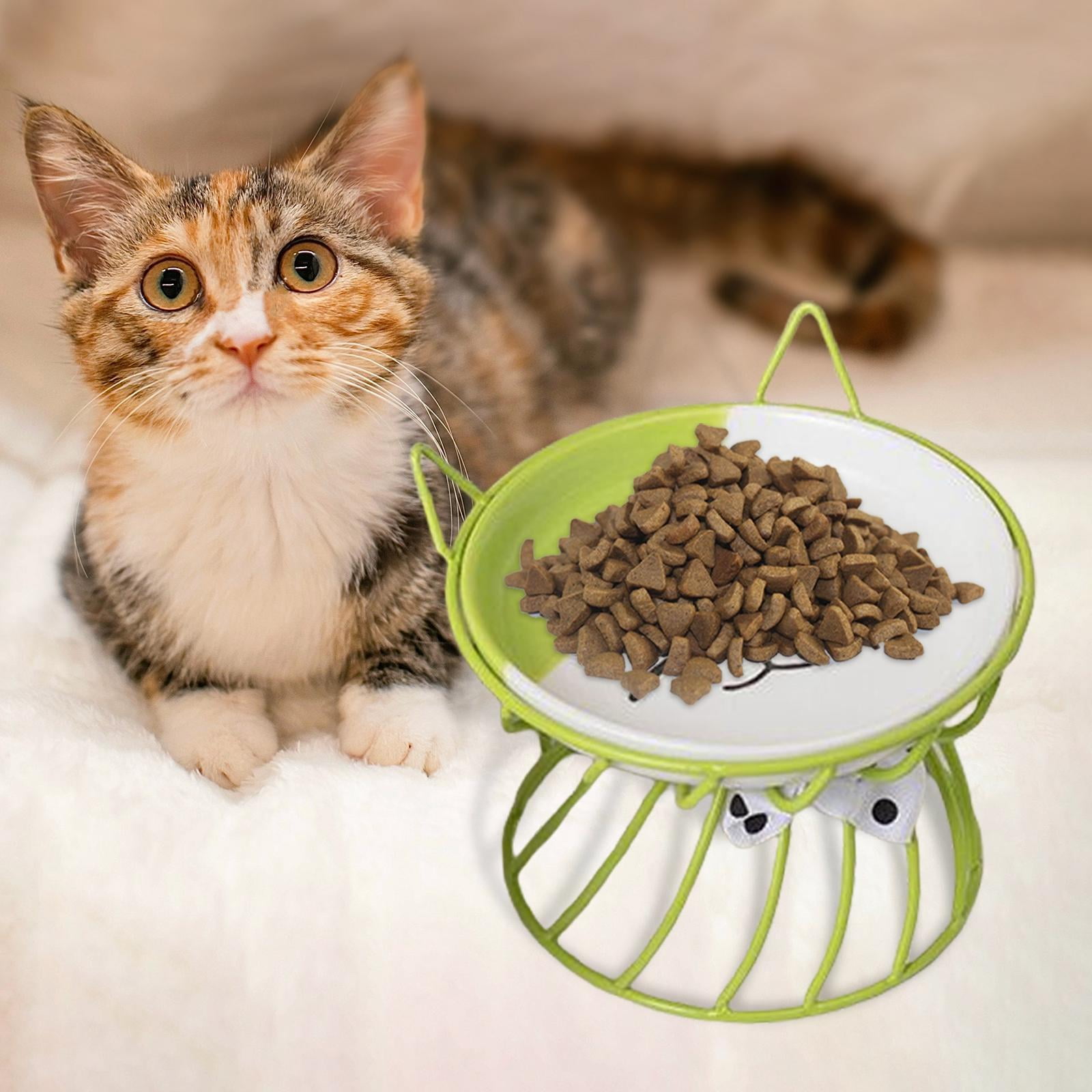 Ceramic Cat Bowl, Elevated Cat owl with Metal Stand, and