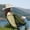 05_White, variant on Sun Hats for Women Summer Beach New Imitation Lafite Hat Sunscreen Sunshade Big Brim Fisherman Foldable Floppy Straw Hat