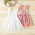 thumbnail image 6 of StylesILove Baby Toddler Girls Embroidered Eyelet Tulle Dress Princess Girl Ruffle Crisscross Sun Dress Outfit (18-24 Months, Pink), 6 of 7