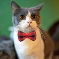 thumbnail image 4 of Collar de gato a cuadros con cuello de gatito de 2 piezas con collar de gato con lazo desmontable para gatitos, 4 of 5