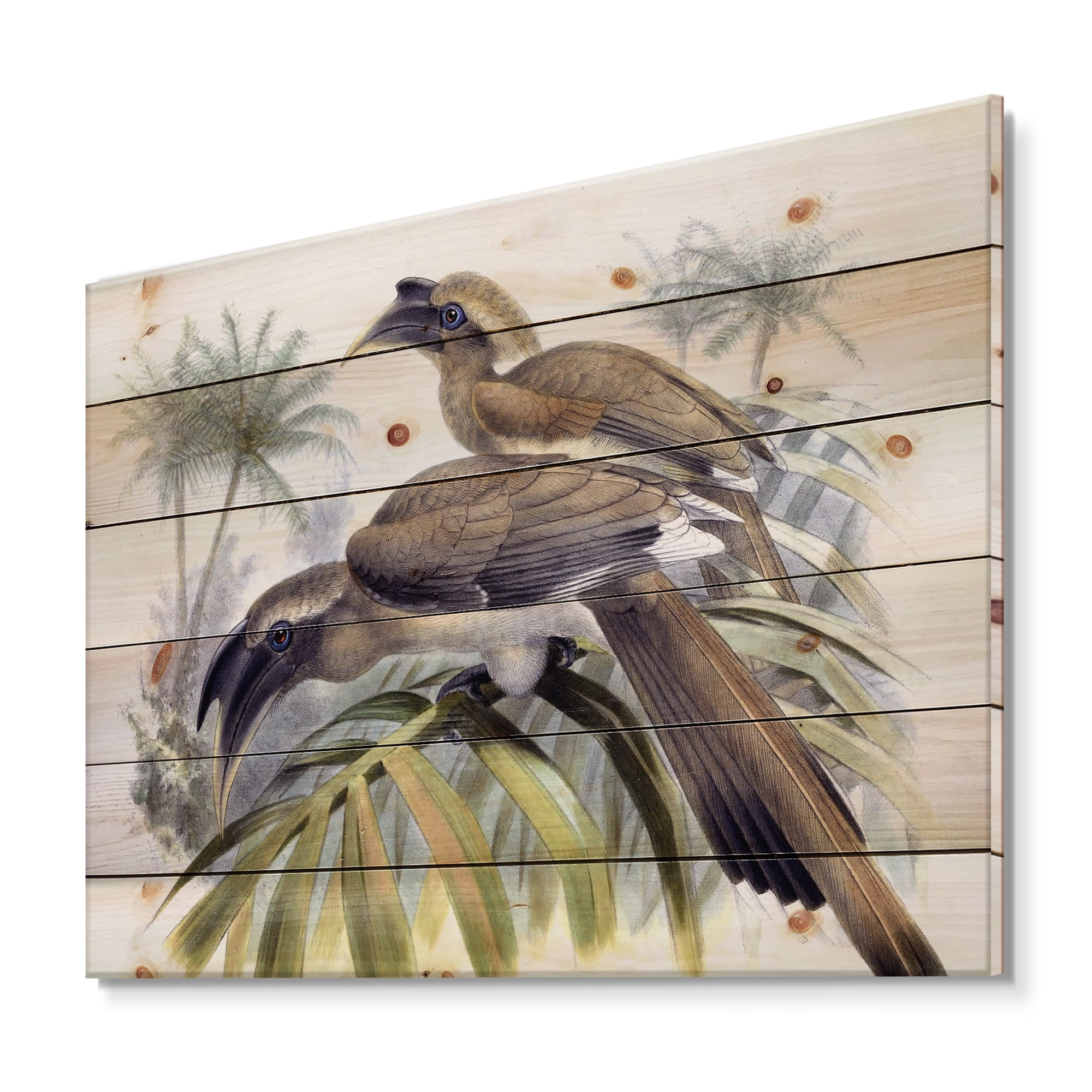 Designart 'Ancient Australian Birds XIV' Traditional Print on Natural Pine Wood