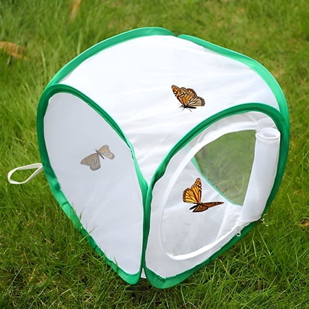 XIBUFE 2026 New Butterfly Kit with Live Caterpillars Butterfly Habitat Butterfly Cage Butterfly House 1Pc Portable Foldable Insect and Butterfly Habitat Cage Housing Enclosure Green