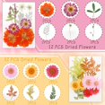 48 Pcs Real Dried Pressed Flowers and Leaves Natural Dried Petals