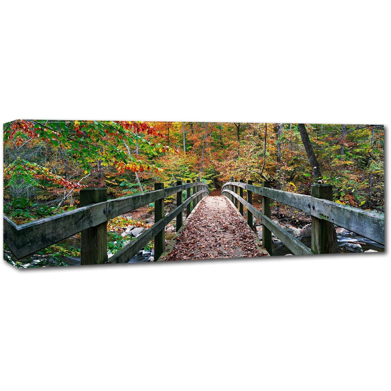 Trademark Fine Art "Autumn in Rock Creek Park" Canvas Art by Gregory O'Hanlon