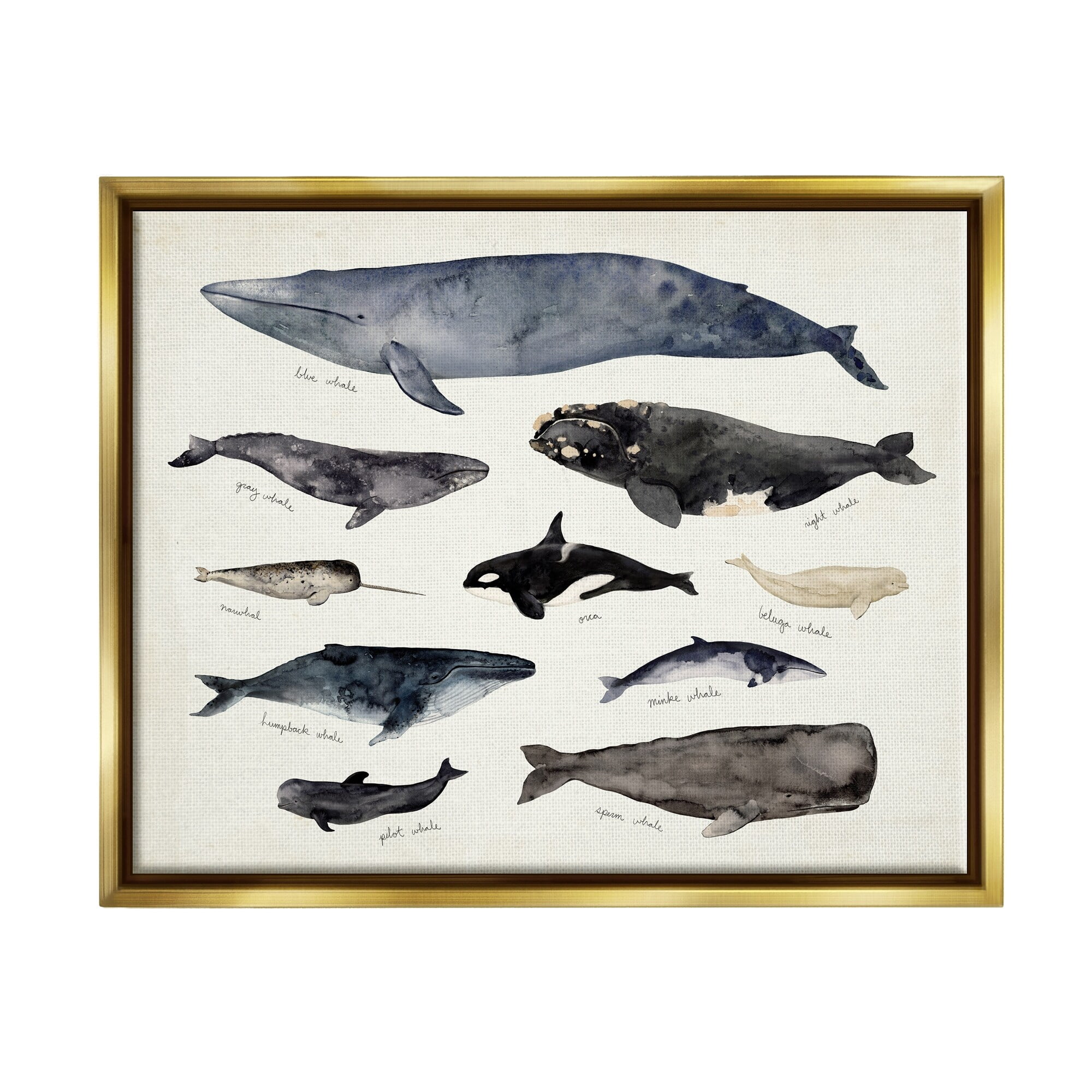 Stupell Industries Vintage Nautical Chart of Whales Ocean Life Metallic Gold Framed Floating Canvas Wall Art, 24x30, by Victoria Barnes