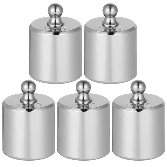 Chidian 5Pcs Calibration Weights 100g Wights Scale Balance Tools Weighing Weights