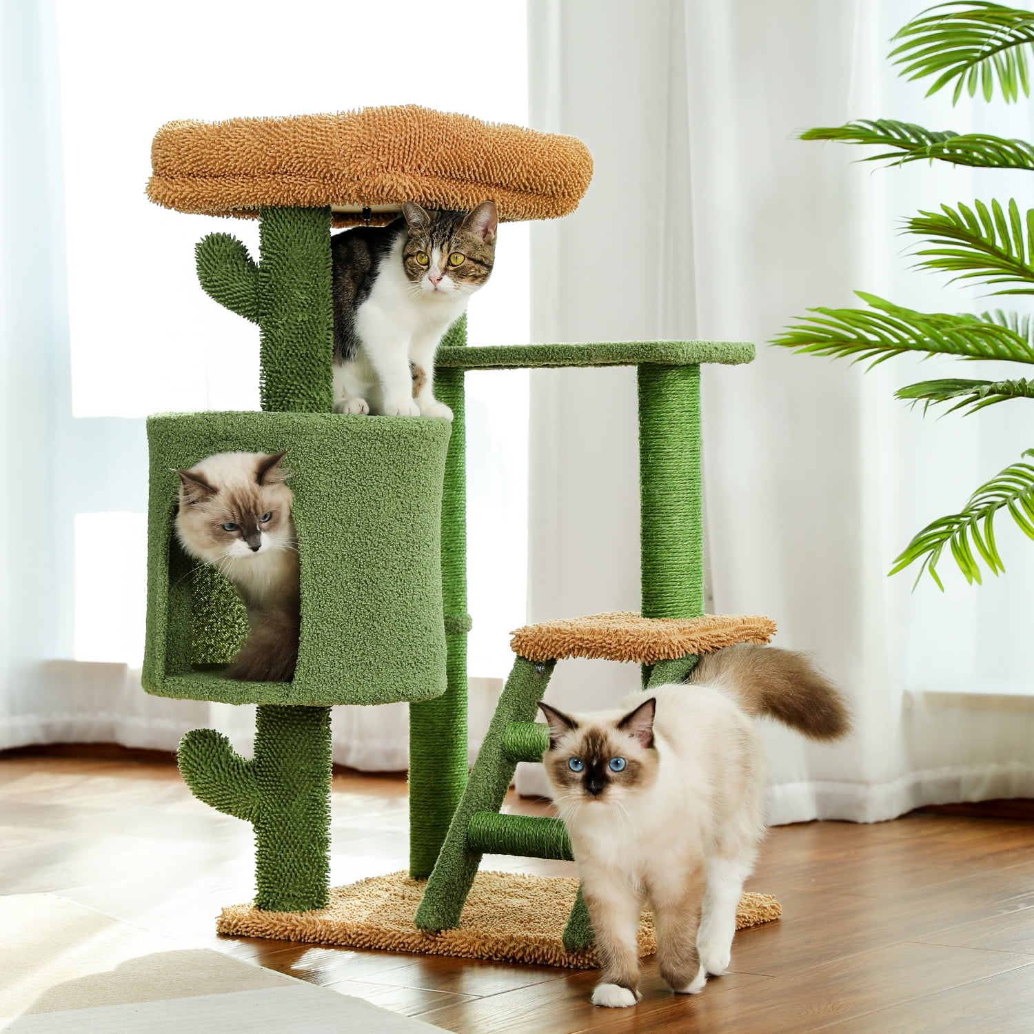 Pefilos Cat Tree 35 Inches Cactus Cat Tower with Sisal Covered Scratching Post, Cozy Condo, Cat Condo for Multiple Cats Plush Perches and Climbing Ladder for Indoor Cats, Green Pefilos Cat Tree 35 Inches Cactus Cat Tower with Sisal Covered Scratching Post, Cozy Condo, Cat Condo for Multiple Cats Plush Perches and Climbing Ladder for Indoor Cats, Green