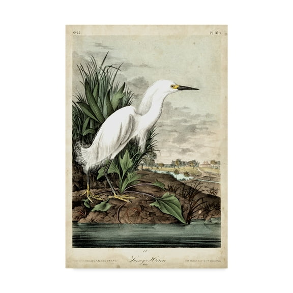 Trademark Fine Art 'Snowy Heron White' Canvas Art by John James Audubon